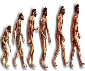 yapboz Modern insanın diğerleri arasında Heidelberg, Pekin, Neandertal ve Cromagnon adamları tarafından geçen için Australopithecus Lucy insan evrimi Seri